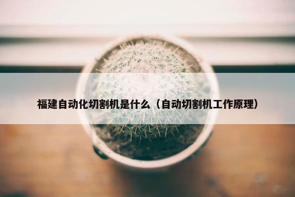 福建自动化切割机是什么（自动切割机工作原理）