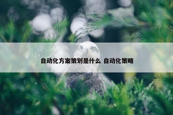 自动化方案策划是什么 自动化策略