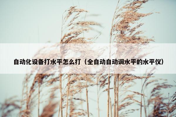 自动化设备打水平怎么打（全自动自动调水平的水平仪）