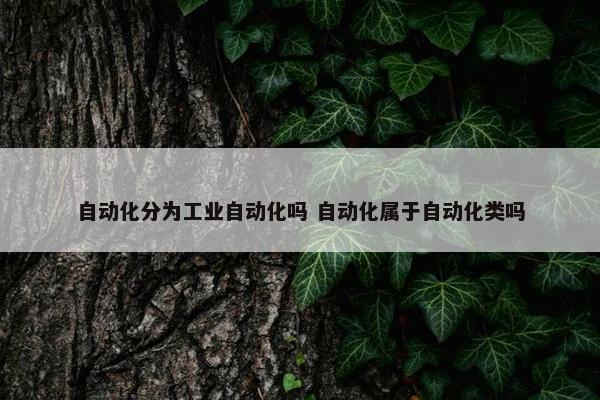 自动化分为工业自动化吗 自动化属于自动化类吗