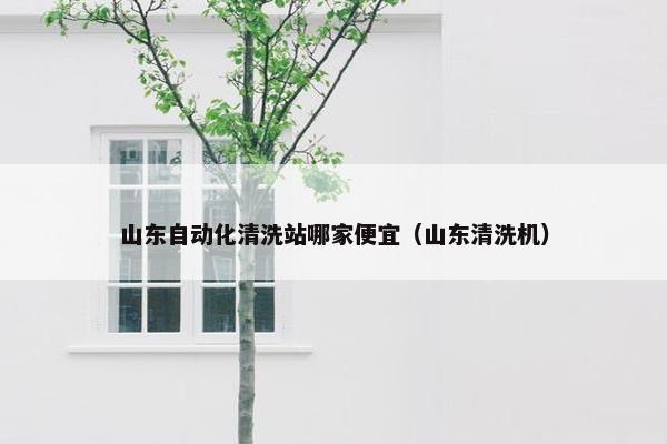 山东自动化清洗站哪家便宜（山东清洗机）