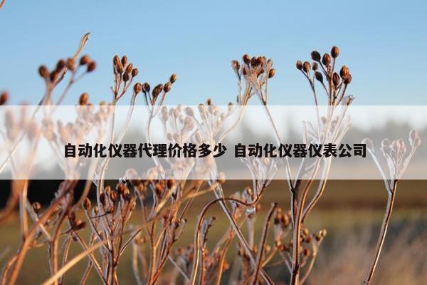 自动化仪器代理价格多少 自动化仪器仪表公司