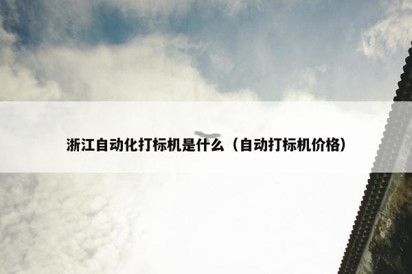 浙江自动化打标机是什么（自动打标机价格）