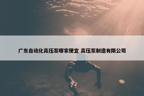 广东自动化高压泵哪家便宜 高压泵制造有限公司