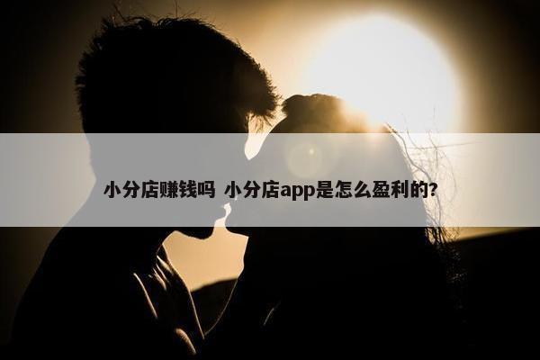 小分店赚钱吗 小分店app是怎么盈利的?