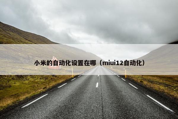 小米的自动化设置在哪（miui12自动化）