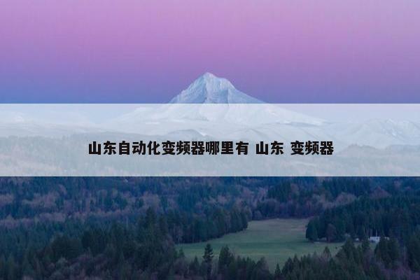 山东自动化变频器哪里有 山东 变频器