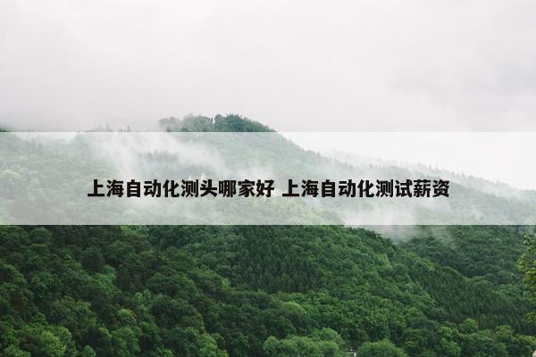 上海自动化测头哪家好 上海自动化测试薪资