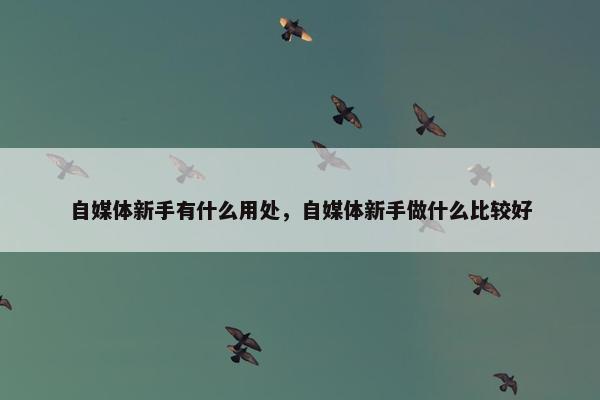 自媒体新手有什么用处，自媒体新手做什么比较好