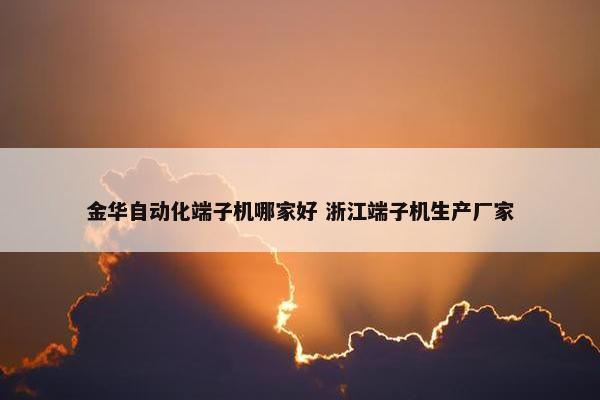 金华自动化端子机哪家好 浙江端子机生产厂家