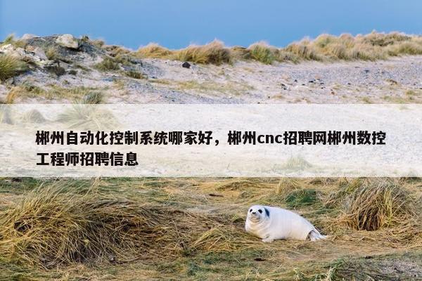 郴州自动化控制系统哪家好，郴州cnc招聘网郴州数控工程师招聘信息