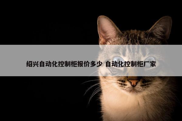 绍兴自动化控制柜报价多少 自动化控制柜厂家