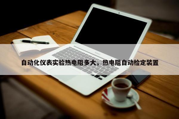 自动化仪表实验热电阻多大，热电阻自动检定装置