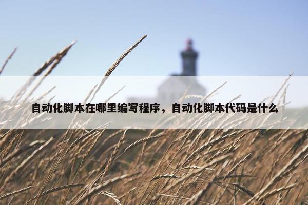 自动化脚本在哪里编写程序，自动化脚本代码是什么