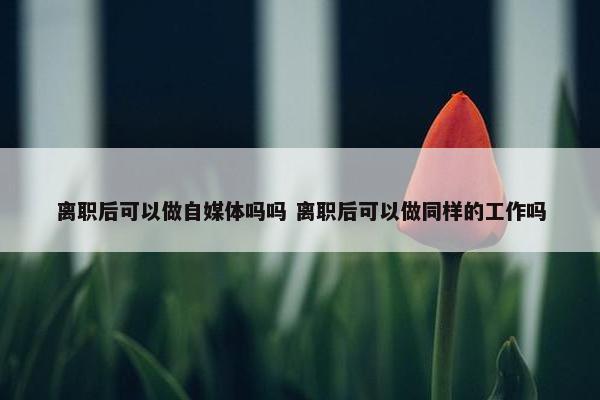 离职后可以做自媒体吗吗 离职后可以做同样的工作吗