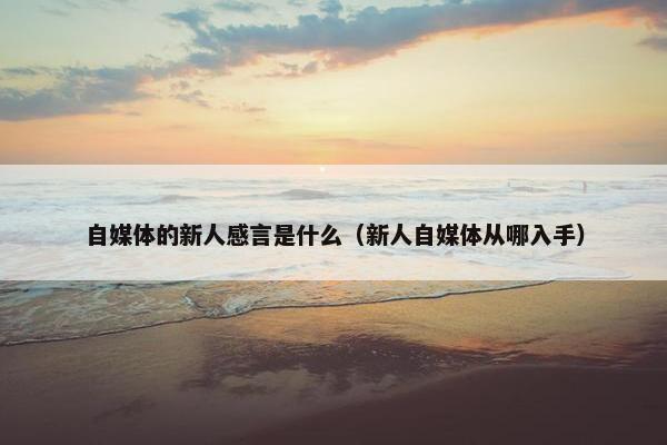 自媒体的新人感言是什么（新人自媒体从哪入手）