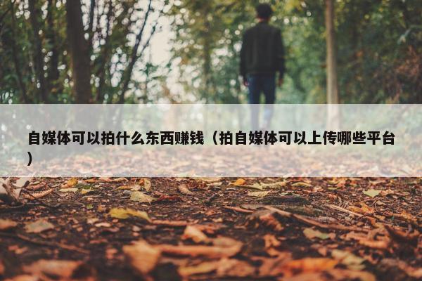 自媒体可以拍什么东西赚钱（拍自媒体可以上传哪些平台）