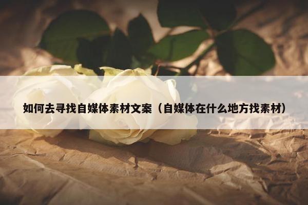 如何去寻找自媒体素材文案（自媒体在什么地方找素材）