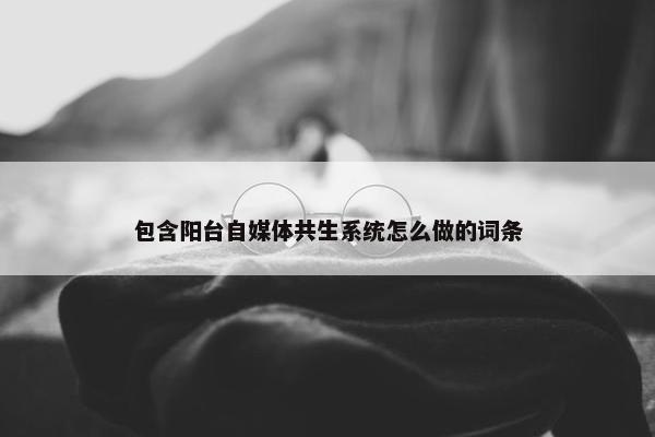 包含阳台自媒体共生系统怎么做的词条