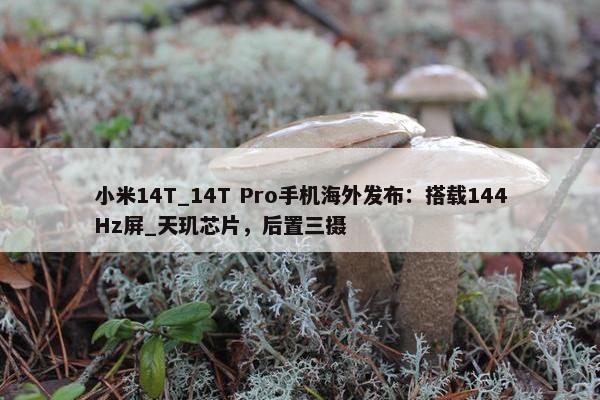 小米14T_14T Pro手机海外发布：搭载144Hz屏_天玑芯片，后置三摄