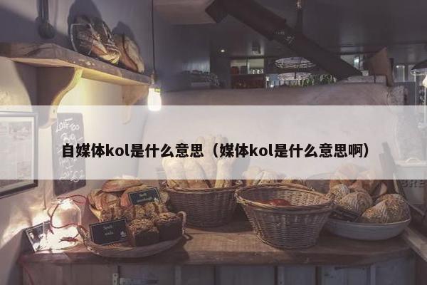 自媒体kol是什么意思（媒体kol是什么意思啊）