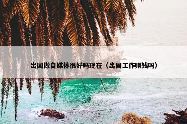 出国做自媒体很好吗现在（出国工作赚钱吗）