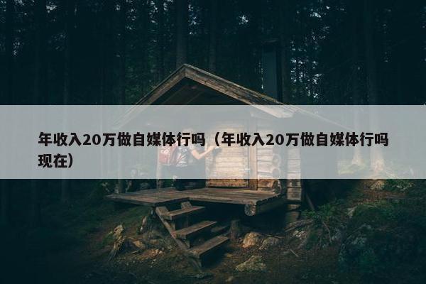 年收入20万做自媒体行吗（年收入20万做自媒体行吗现在）