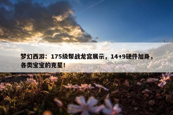 梦幻西游：175级帮战龙宫展示，14+9硬件加身，各类宝宝的克星！