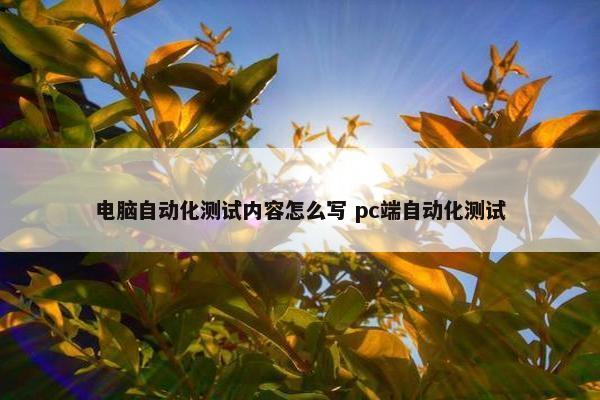 电脑自动化测试内容怎么写 pc端自动化测试