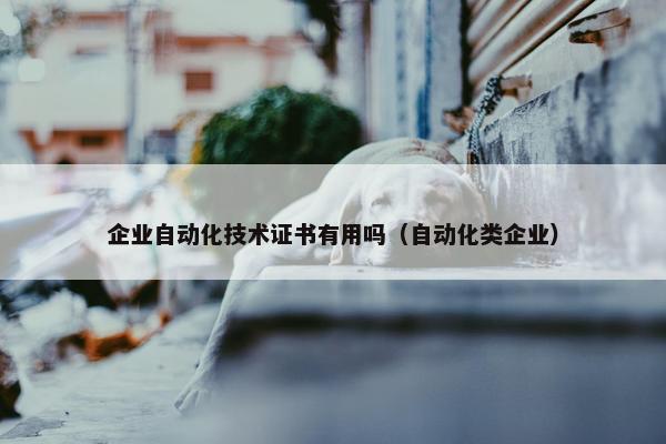 企业自动化技术证书有用吗（自动化类企业）