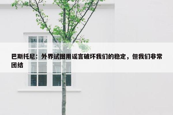 巴斯托尼：外界试图用谣言破坏我们的稳定，但我们非常团结