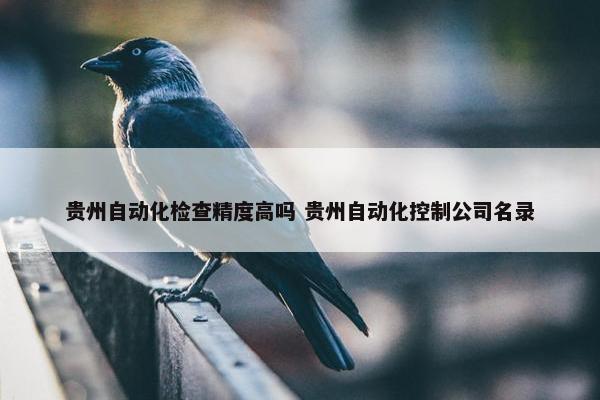 贵州自动化检查精度高吗 贵州自动化控制公司名录