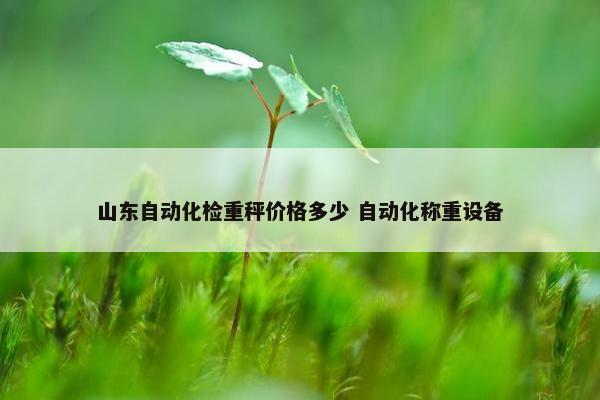 山东自动化检重秤价格多少 自动化称重设备