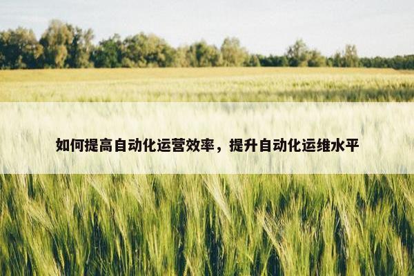 如何提高自动化运营效率，提升自动化运维水平