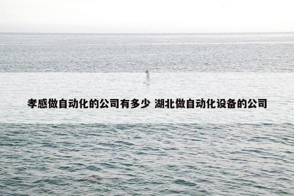 孝感做自动化的公司有多少 湖北做自动化设备的公司