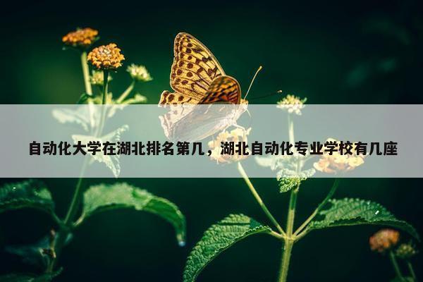 自动化大学在湖北排名第几，湖北自动化专业学校有几座