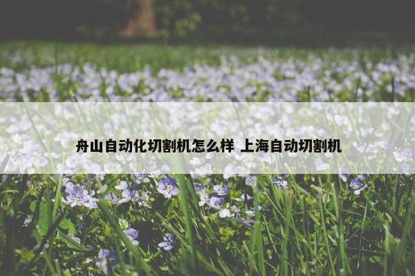 舟山自动化切割机怎么样 上海自动切割机