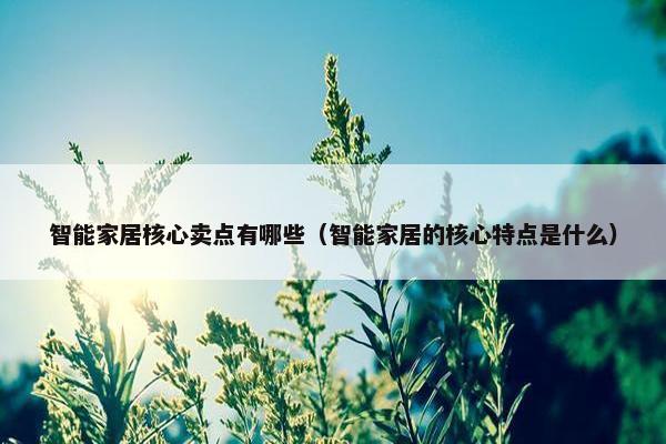 智能家居核心卖点有哪些（智能家居的核心特点是什么）