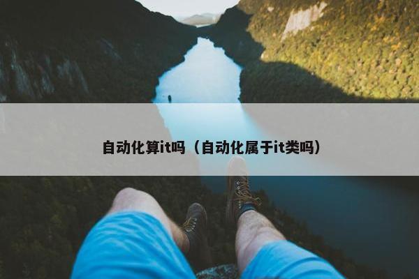 自动化算it吗（自动化属于it类吗）