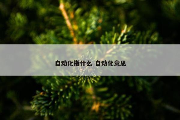 自动化指什么 自动化意思