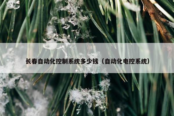 长春自动化控制系统多少钱（自动化电控系统）