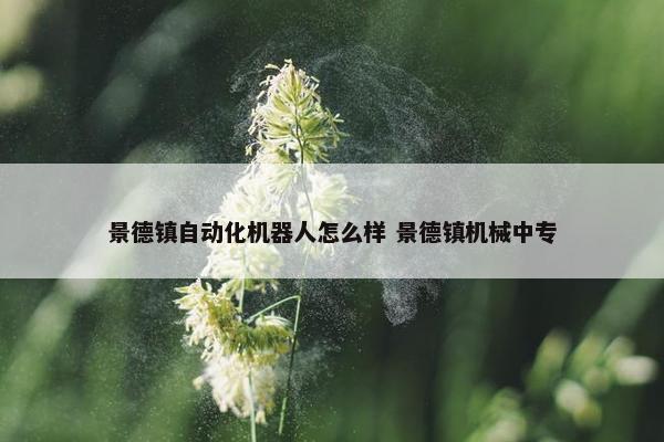 景德镇自动化机器人怎么样 景德镇机械中专