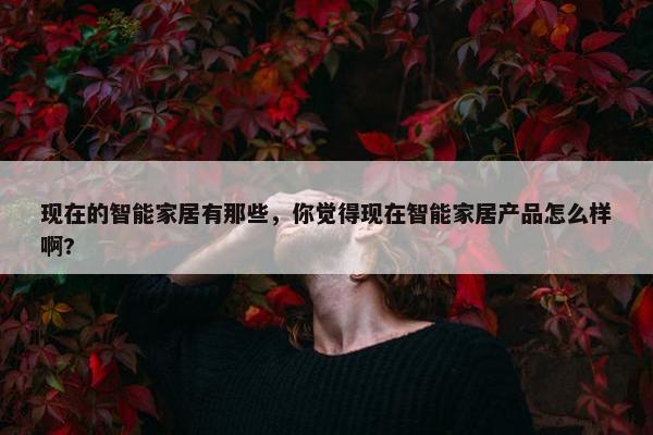 现在的智能家居有那些，你觉得现在智能家居产品怎么样啊?