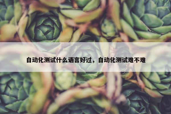 自动化测试什么语言好过，自动化测试难不难