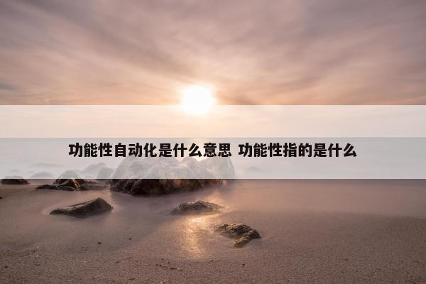 功能性自动化是什么意思 功能性指的是什么