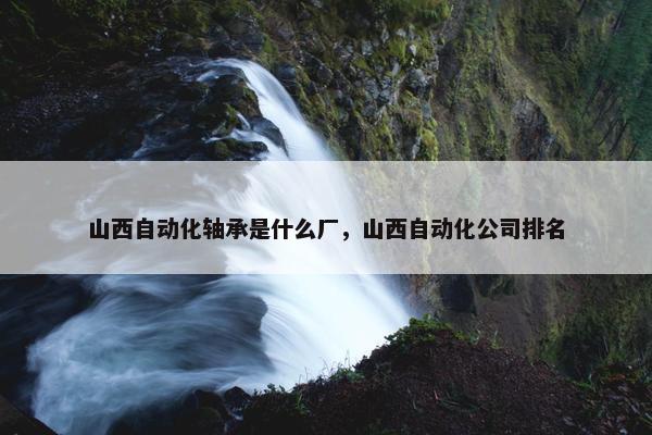 山西自动化轴承是什么厂，山西自动化公司排名