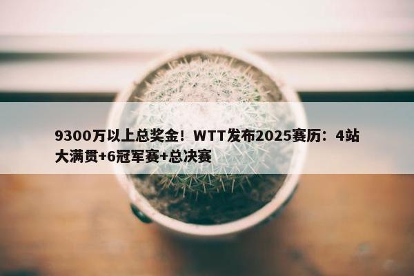 9300万以上总奖金！WTT发布2025赛历：4站大满贯+6冠军赛+总决赛