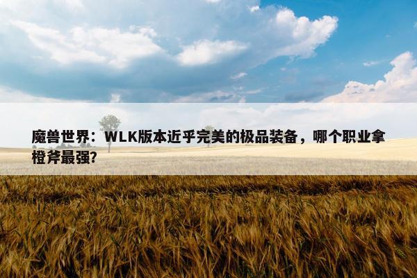 魔兽世界：WLK版本近乎完美的极品装备，哪个职业拿橙斧最强？