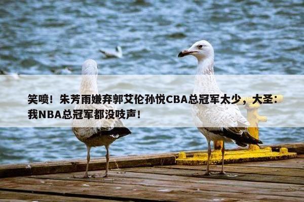 笑喷！朱芳雨嫌弃郭艾伦孙悦CBA总冠军太少，大圣：我NBA总冠军都没吱声！