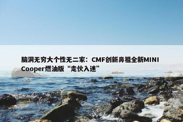 脑洞无穷大个性无二家：CMF创新鼻祖全新MINI Cooper燃油版“走伙入迷”